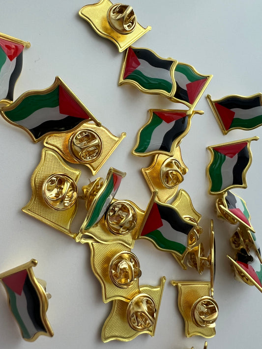 Palestine pins